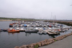 PICT0029.JPG