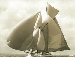 295490_414417371938597_894486383_n.jpg