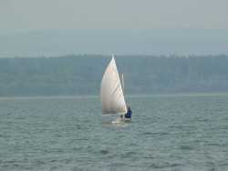 18- Do trymowania to i tamto.JPG