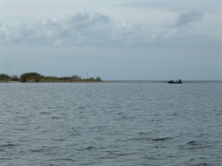 DSCF0006.jpg