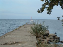 DSCF0005.jpg