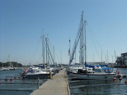 SDC16209.JPG