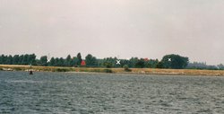 8745601.jpg