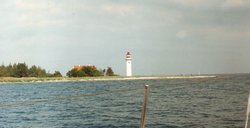 09907.jpg