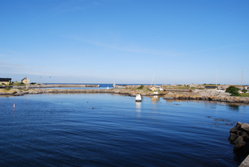 DSC_0080.jpg