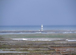 DSC01867_sc.jpg