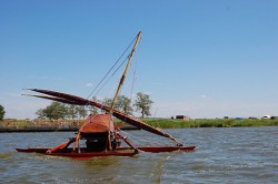 DSC_0374  u.JPG