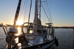 IMG_1268_mini.jpg