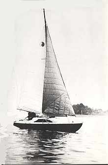 betotron sylwetka m.jpg
