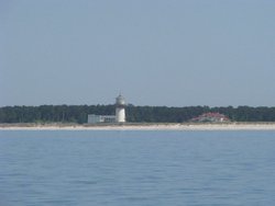 229.jpg