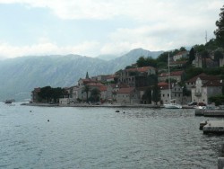 P1120010.jpg