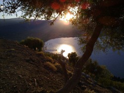 20120917961.jpg
