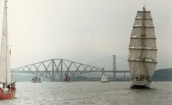98467.jpg