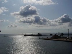 P1010101-1.jpg