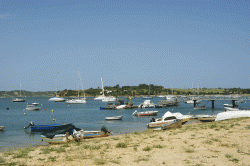 zagadka.gif