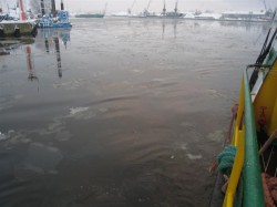 IMG_2538.JPG