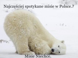 Misie nie chce.jpg