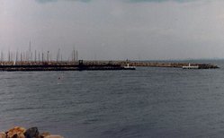 786.jpg