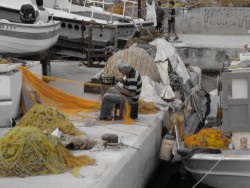 DSC00668.JPG