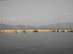 DSC00667.JPG
