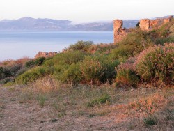 IMG_3681.JPG