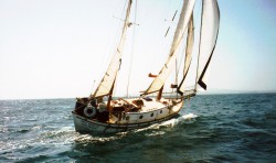 SeaWitch1.jpg