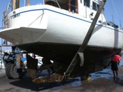 caribe_03.jpg