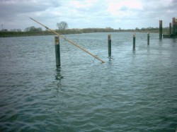 mast1.JPG