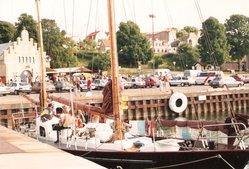 8967587.jpg