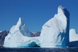 DSC_0445.JPG