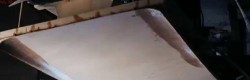 gull wings.jpg
