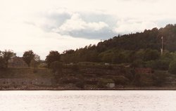 289645.jpg