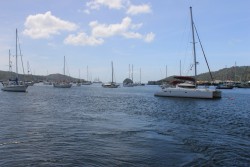 IMG_0439.jpg