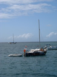 IMG_9045.jpg
