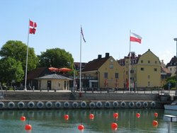 142.jpg