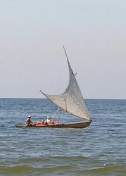 P7070833-1-1.jpg