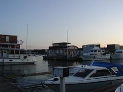 P1010181.jpg