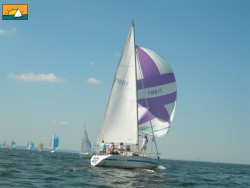 Sea Bee3.jpg