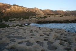 IMG_4863.jpg