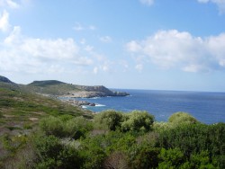 n2.jpg