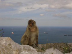2008 Gibraltar3.jpg