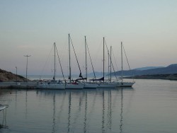 IMGP6523.jpg
