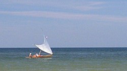 IMG_20130320_130309.jpg