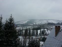 20130322_124150.jpg