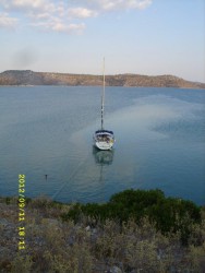 SS856575.jpg