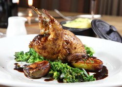 _quail.jpg
