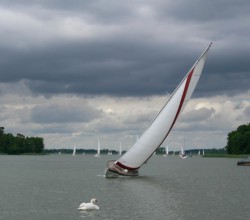 10,5x50m2- 20tys.jpg