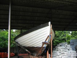 3139071340_2.jpg