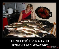 ryby.jpg