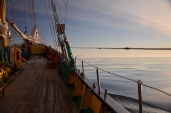 DSC_0217.jpg
